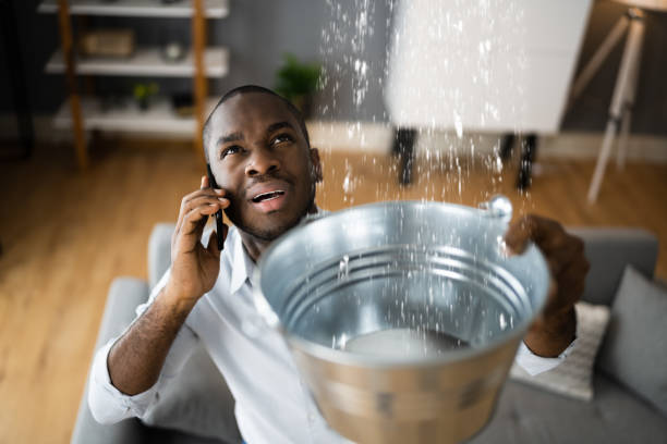 Best Basement water damage restoration  in Hamilton City, CA