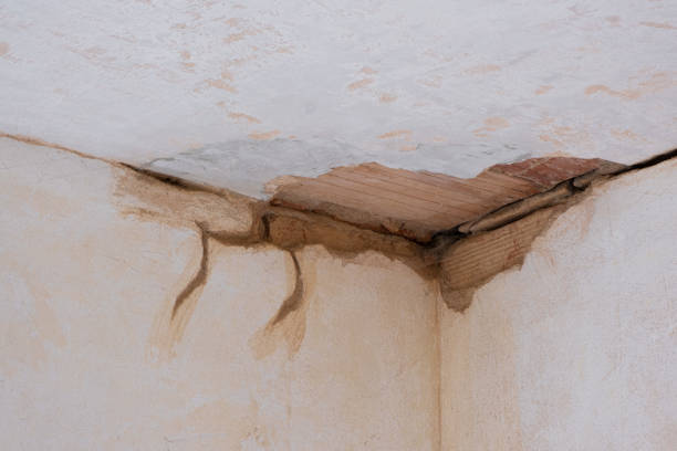 Best Flood damage cleanup  in Hamilton City, CA