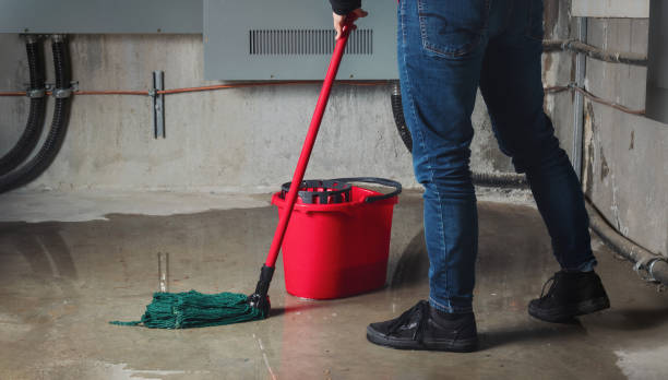 Best Ceiling water damage repair  in Hamilton City, CA