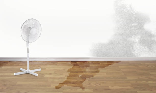 Best Water damage contractors near me  in Hamilton City, CA