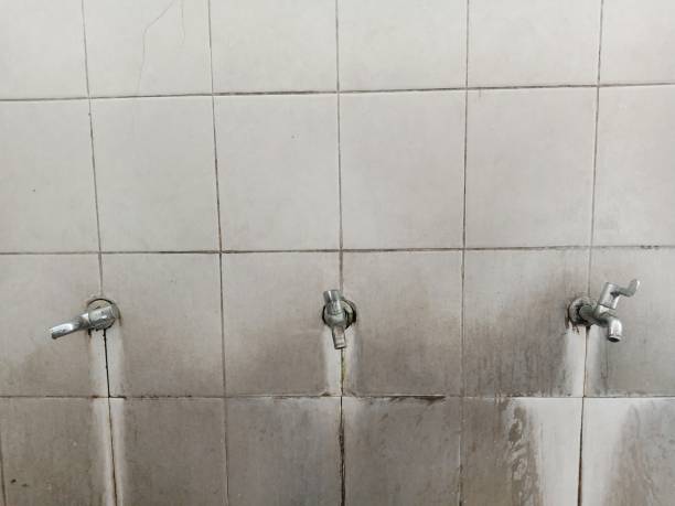 Best Water damage restoration near me  in Hamilton City, CA