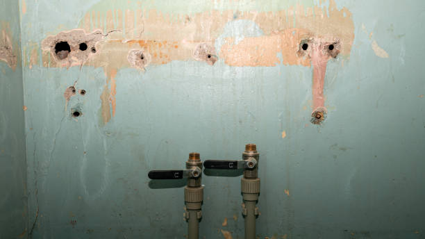 Best Flood restoration services  in Hamilton City, CA