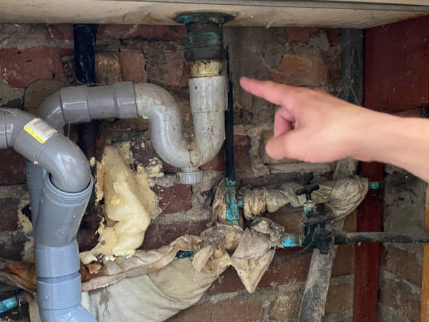 Best Mold removal after water damage  in Hamilton City, CA