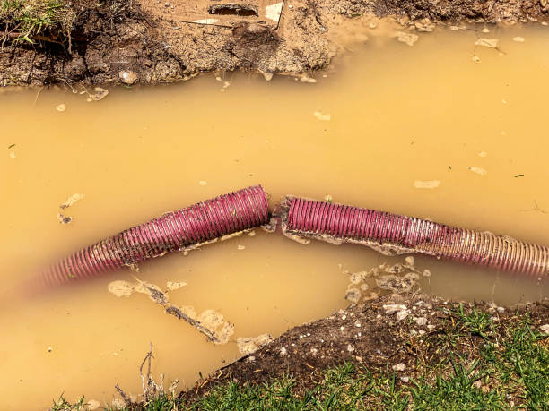 Best Carpet water damage restoration  in Hamilton City, CA